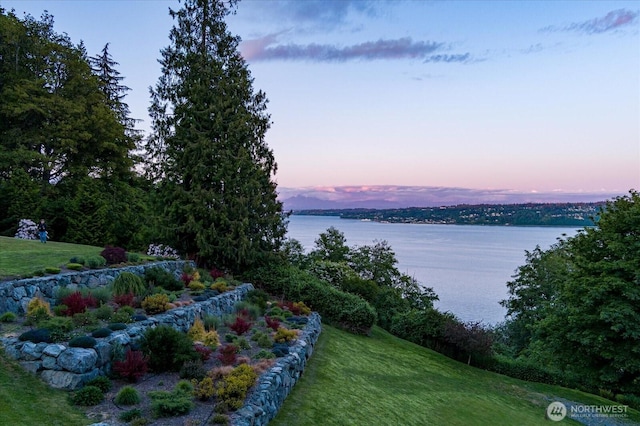 7353 Cedar House Ct, Clinton, WA 98236 - water view