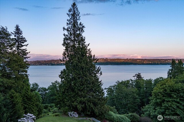 7353 Cedar House Ct, Clinton, WA 98236 - water view