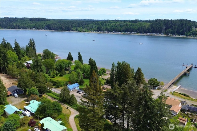81 E Sullivan St, Allyn, WA 98524 - view of property location featuring a forest and a nearby body of water