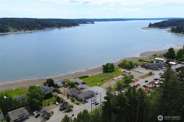 81 E Sullivan St, Allyn, WA 98524 - bird's eye view of a large body of water and a heavily wooded area