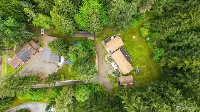 14807 254th St E, Graham, WA 98338 - bird's eye view