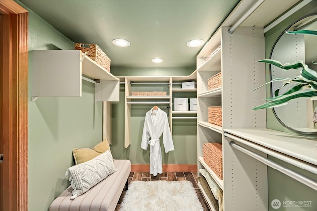 walk in closet featuring dark wood-style flooring