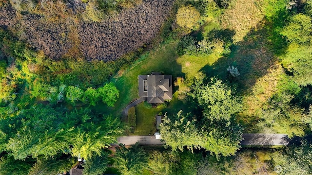 2333 Tuttle Ln, Lummi Island, WA 98262 - aerial overview of property's location