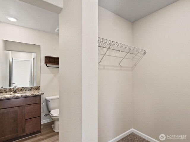 12029 317th Dr SE, Sultan, WA 98294 - walk in closet featuring a sink and light wood-style flooring