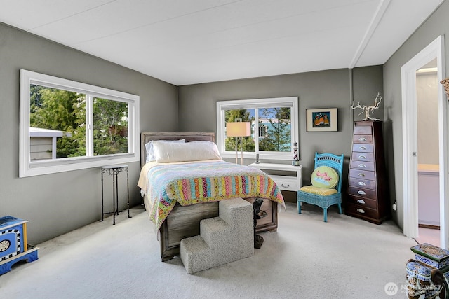 4111 164th St SW Unit 2, Lynnwood, WA 98087 - carpeted bedroom featuring multiple windows