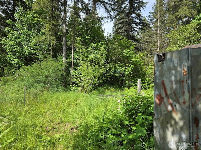 46400 Baker Loop Rd, Concrete, WA 98237 - view of wooded area