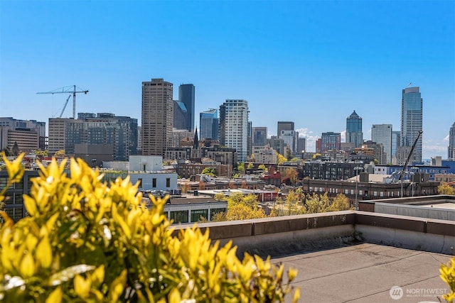 1125 E Olive St Unit 501, Seattle, WA 98122 - view of city