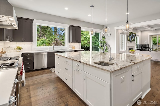 kitchen with appliances with stainless steel finishes, a sink, ventilation hood, recessed lighting, and tasteful backsplash