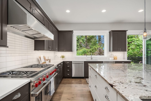 kitchen featuring stainless steel appliances, under cabinet range hood, healthy amount of natural light, light wood-style floors, and recessed lighting