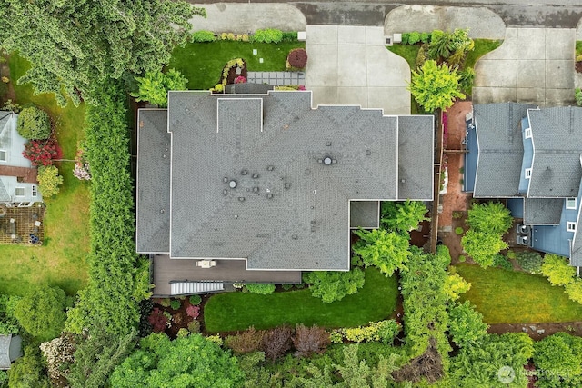 drone / aerial view