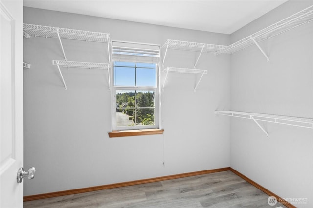 walk in closet with wood finished floors