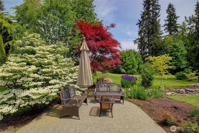 26901 15th Ave NE, Arlington, WA 98223 - view of patio / terrace with an outdoor fire pit and view of wooded area