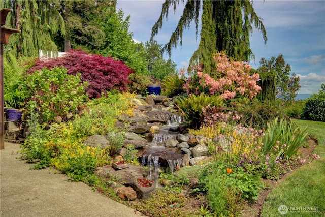 26901 15th Ave NE, Arlington, WA 98223 - view of yard