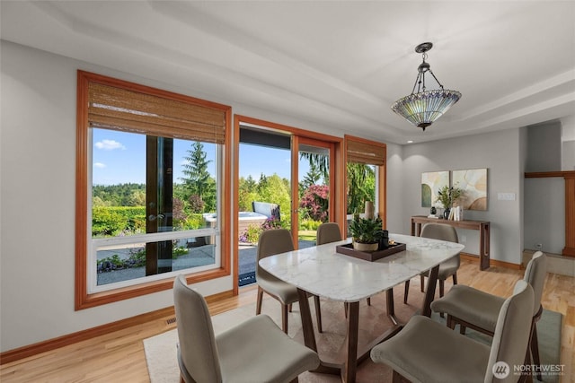 26901 15th Ave NE, Arlington, WA 98223 - dining room featuring light wood-type flooring and a raised ceiling