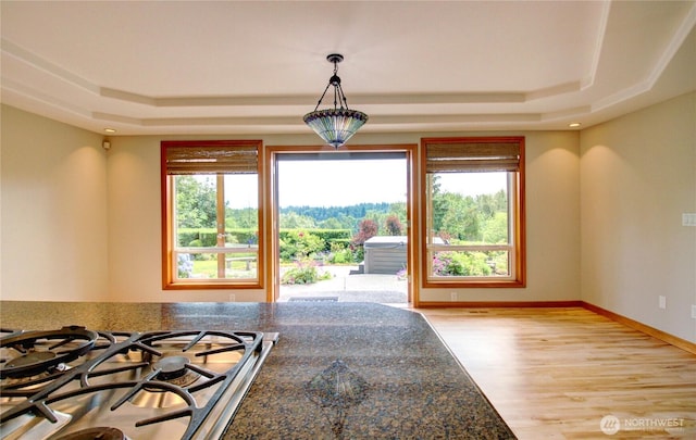 26901 15th Ave NE, Arlington, WA 98223 - unfurnished dining area featuring a tray ceiling and light wood-type flooring
