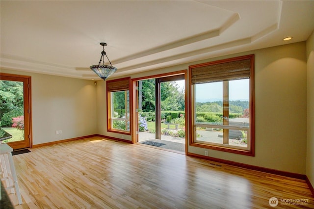 26901 15th Ave NE, Arlington, WA 98223 - spare room featuring a tray ceiling, light wood-style flooring, and recessed lighting