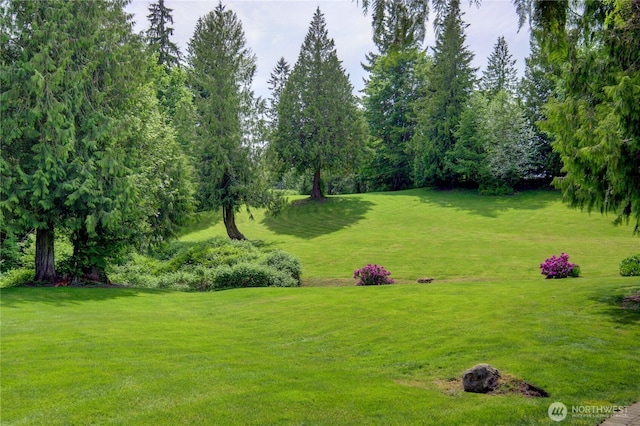 26901 15th Ave NE, Arlington, WA 98223 - view of green lawn