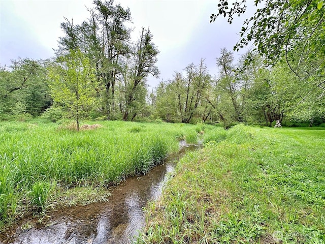 175 Woodsy Ln, Onalaska, WA 98570