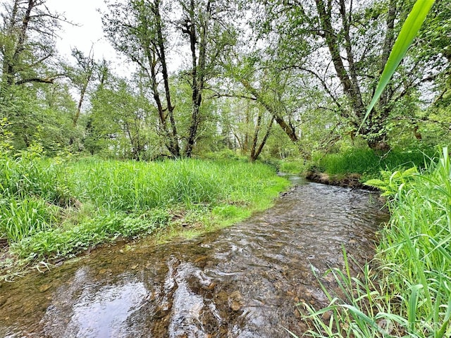 175 Woodsy Ln, Onalaska, WA 98570