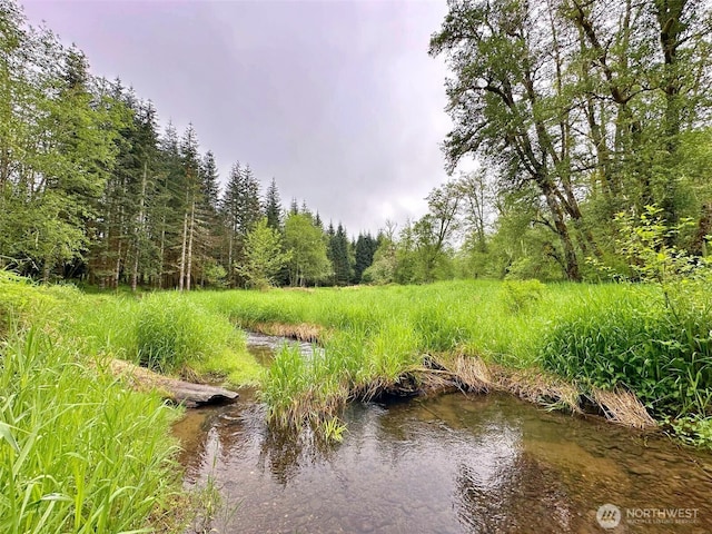 175 Woodsy Ln, Onalaska, WA 98570