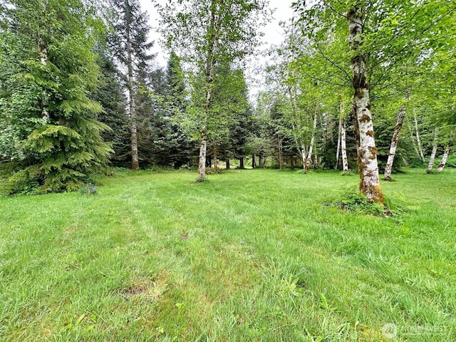 175 Woodsy Ln, Onalaska, WA 98570