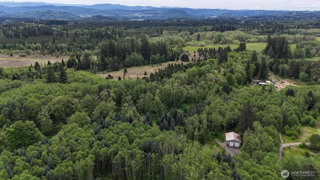 175 Woodsy Ln, Onalaska, WA 98570
