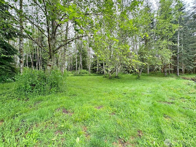 175 Woodsy Ln, Onalaska, WA 98570