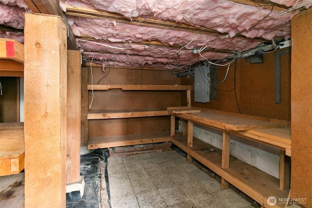unfinished below grade area featuring electric panel