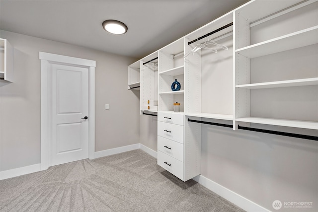 20022 7th Ave SE, Bothell, WA 98012 - spacious closet with light carpet