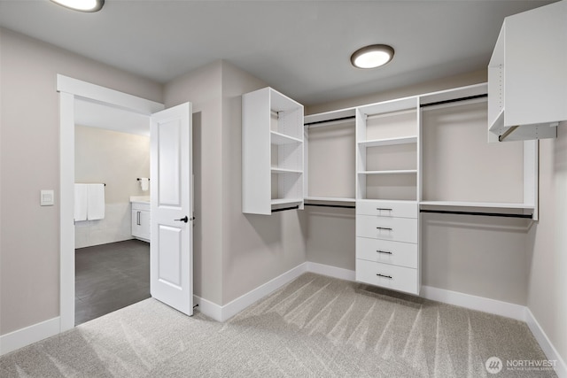 20022 7th Ave SE, Bothell, WA 98012 - walk in closet featuring carpet