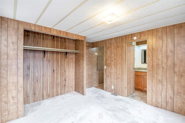 5705 113th Ave E Unit 68, Puyallup, WA 98372 - spare room with wooden walls, carpet, and a sink