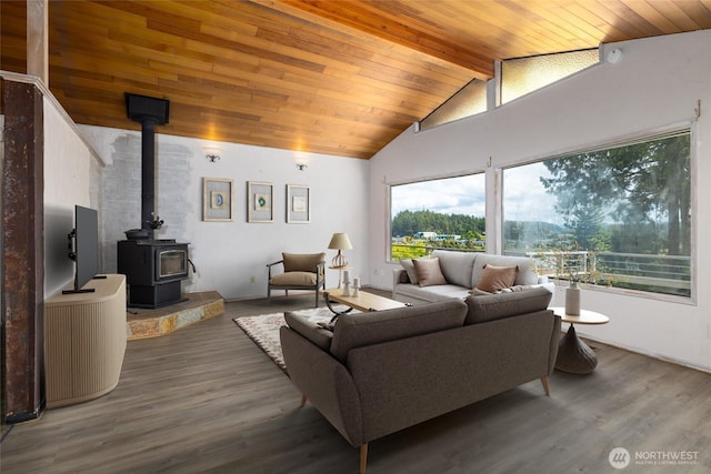 228 Skagit Way, La Conner, WA 98257 - living room with wooden ceiling, a wood stove, and wood finished floors