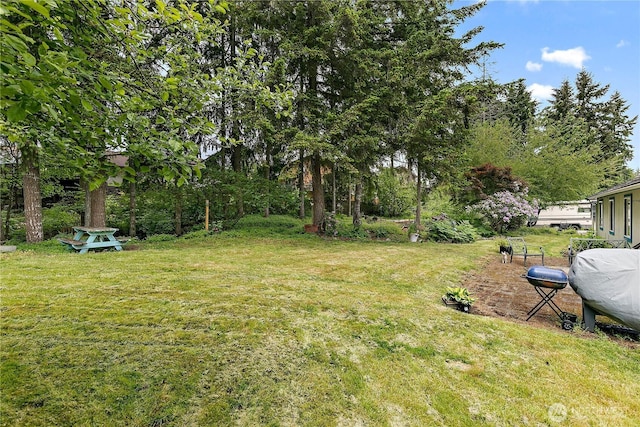 19414 112th Ave E, Graham, WA 98338 - view of green lawn