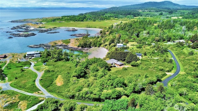 1248 Kanaka Bay Rd, Friday Harbor, WA 98250 - aerial view of property and surrounding area with a water and mountain view and a forest