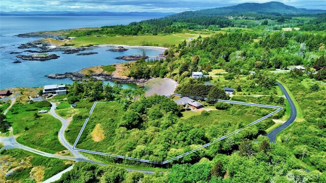 1248 Kanaka Bay Rd, Friday Harbor, WA 98250 - bird's eye view of a water and mountain view
