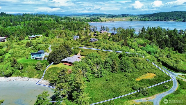 1248 Kanaka Bay Rd, Friday Harbor, WA 98250 - aerial view of property's location with a nearby body of water and a forest