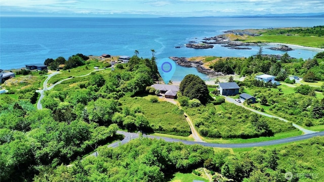 1248 Kanaka Bay Rd, Friday Harbor, WA 98250 - bird's eye view of a large body of water