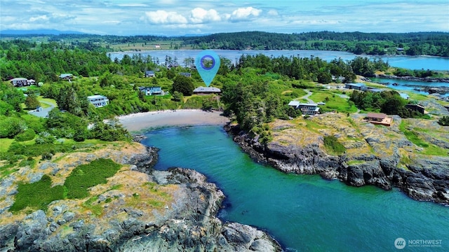 1248 Kanaka Bay Rd, Friday Harbor, WA 98250 - bird's eye view of a nearby body of water and a heavily wooded area