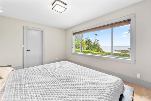 1248 Kanaka Bay Rd, Friday Harbor, WA 98250 - bedroom with wood finished floors, a water view, and baseboards
