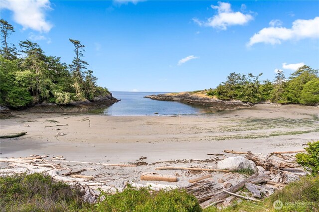 1248 Kanaka Bay Rd, Friday Harbor, WA 98250 - water view with nearby beach
