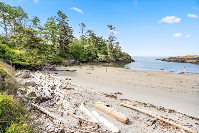 1248 Kanaka Bay Rd, Friday Harbor, WA 98250 - water view with nearby beach