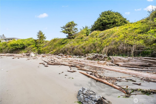 1248 Kanaka Bay Rd, Friday Harbor, WA 98250 - view of yard
