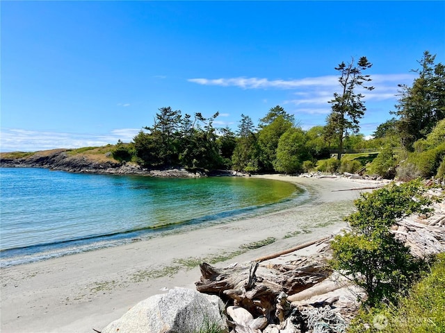 1248 Kanaka Bay Rd, Friday Harbor, WA 98250 - water view with nearby beach