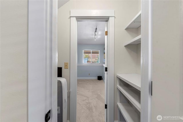 250 Lakefront Dr, Orondo, WA 98843 - walk in closet featuring light colored carpet