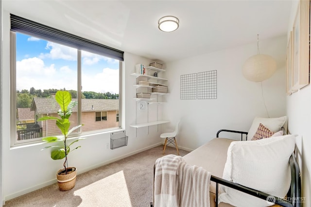 4216 30th Ave SW, Seattle, WA 98126 - sitting room featuring carpet floors and baseboards