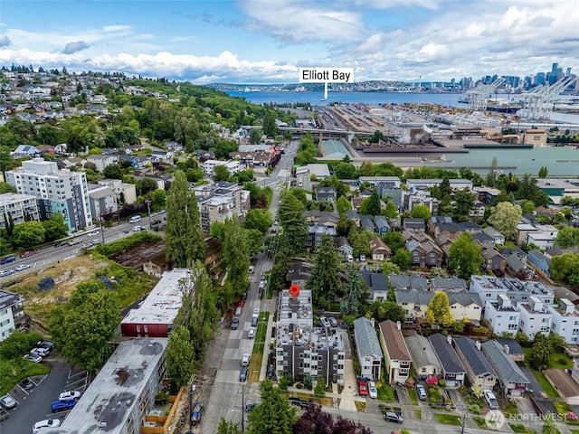 4216 30th Ave SW, Seattle, WA 98126 - view of urban area featuring a large body of water