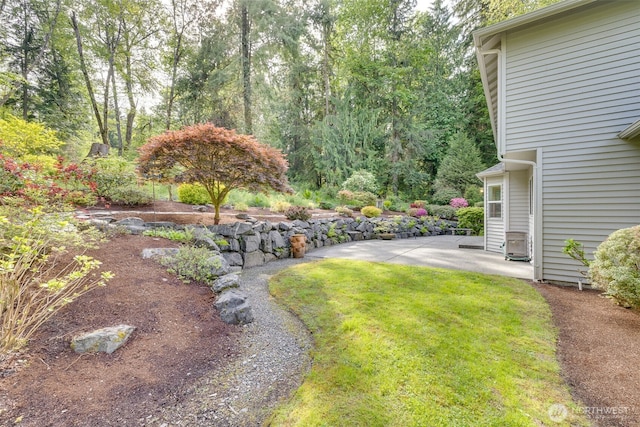 view of grassy yard with a patio