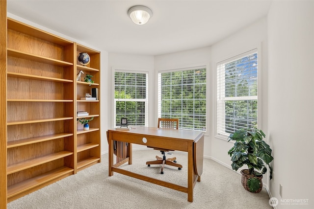 office with carpet, plenty of natural light, and baseboards