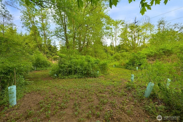 8894 Giles Rd, Blaine, WA 98230 - view of yard