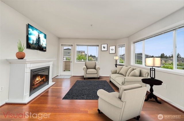 13426 97th Ave E Unit 303, Puyallup, WA 98373 - living area featuring wood finished floors, a glass covered fireplace, and baseboards